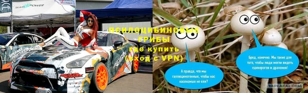 экстази Белокуриха
