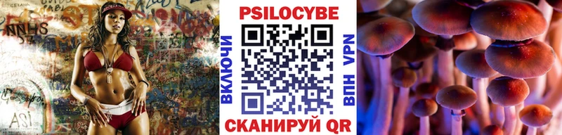 Псилоцибиновые грибы мухоморы  MEGA ТОР  Нерюнгри  где купить наркотик 